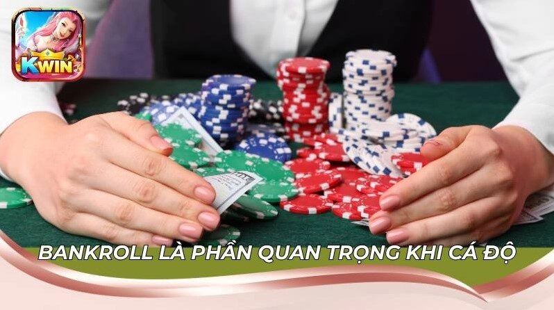 Bankroll là phần quan trọng khi cá độ thể thao Kwin